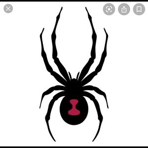 SPYDER 🕷 Jacket Men’s